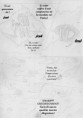 /album/capitolo-ii/pag-038-jpg/